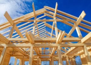 First-Timers Are Back: What a 35% Buyer Surge Means for Bartlett This Summer
