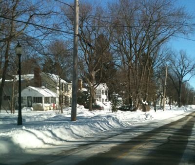 Homes for sale in Wayne, IL — Team Goddard Real Estate